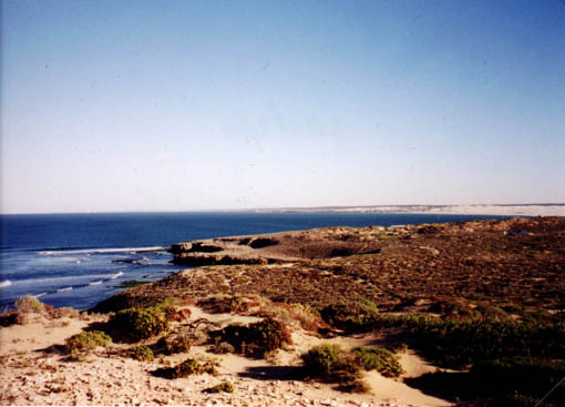 desert.jpg
